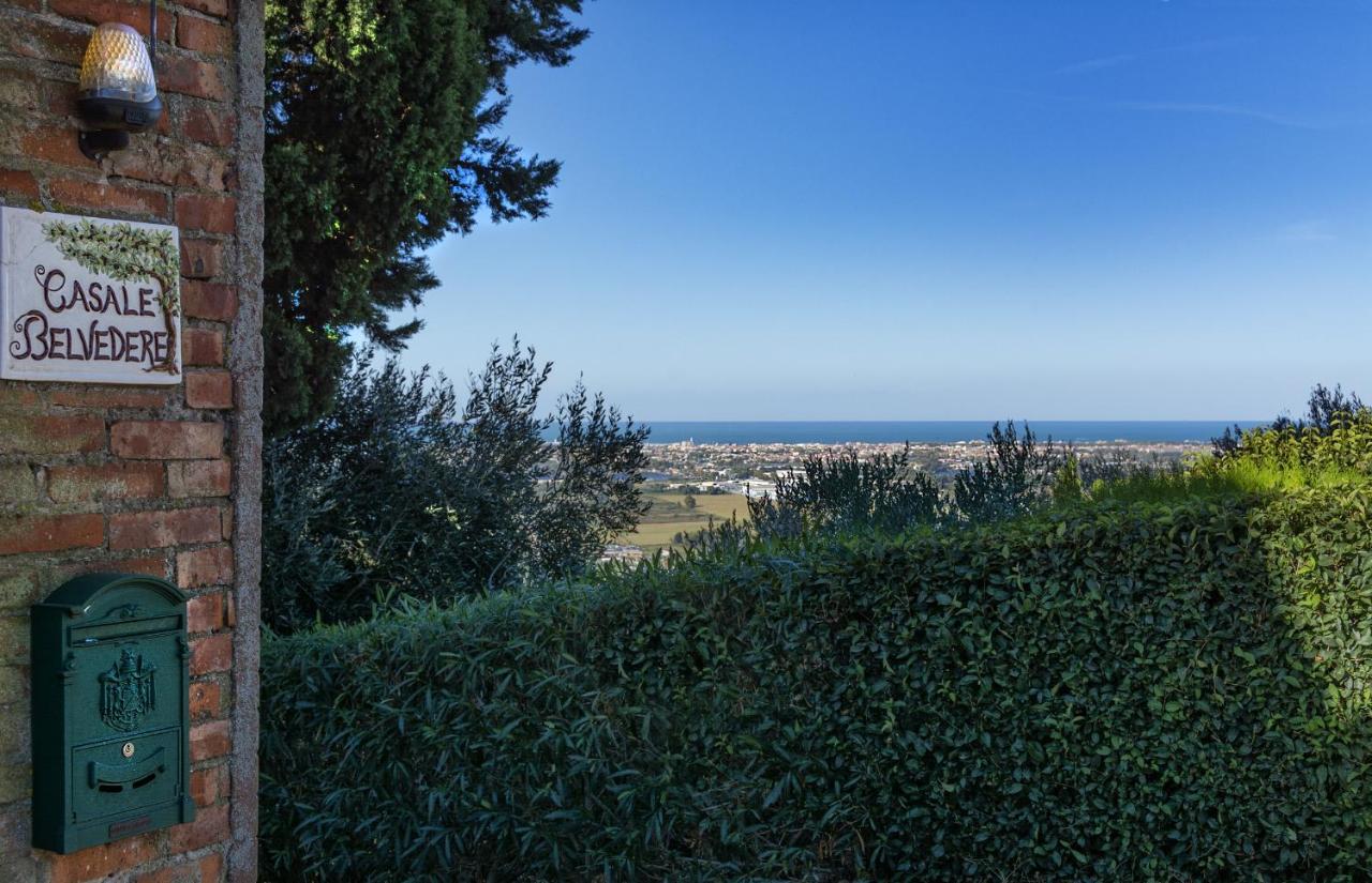 Casale Belvedere "Il Melograno" มาสซาโรซา ภายนอก รูปภาพ